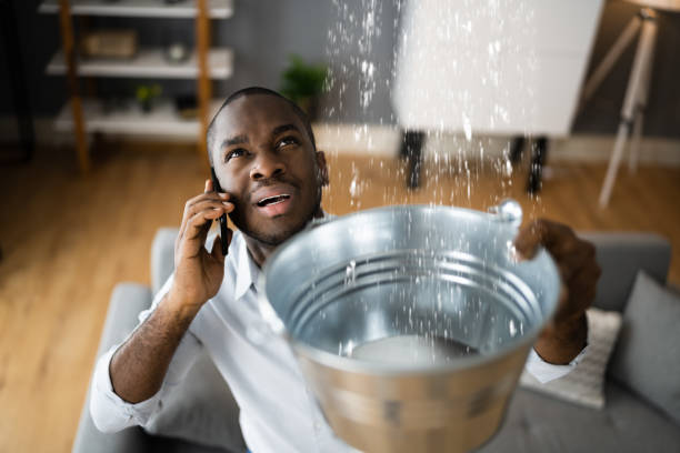 Best Carpet water damage restoration  in Argos, IN
